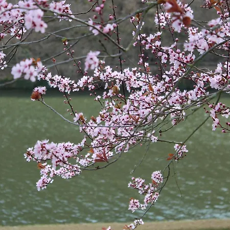 'freund Am See' 1 *