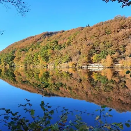 'freund Am See' 1