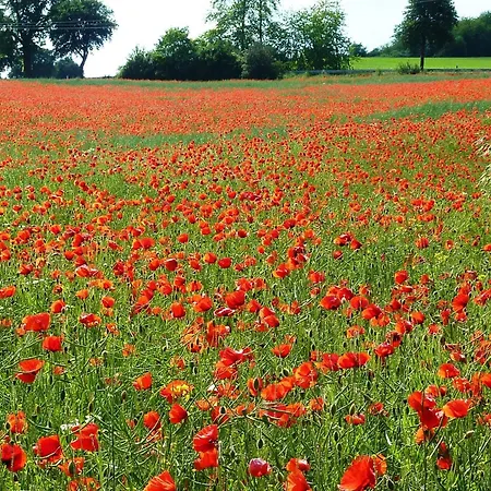 Semesterbostad 'freund Am See' 1