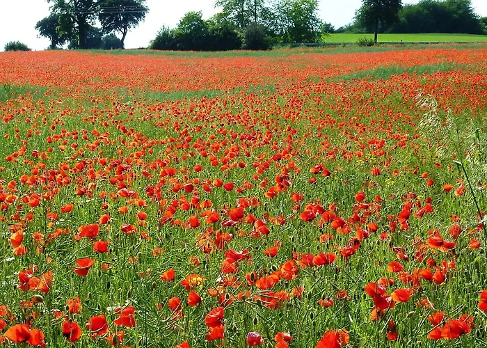 Feriehus 'freund Am See' 1